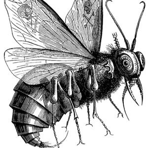 Meet your Posher, Miguel